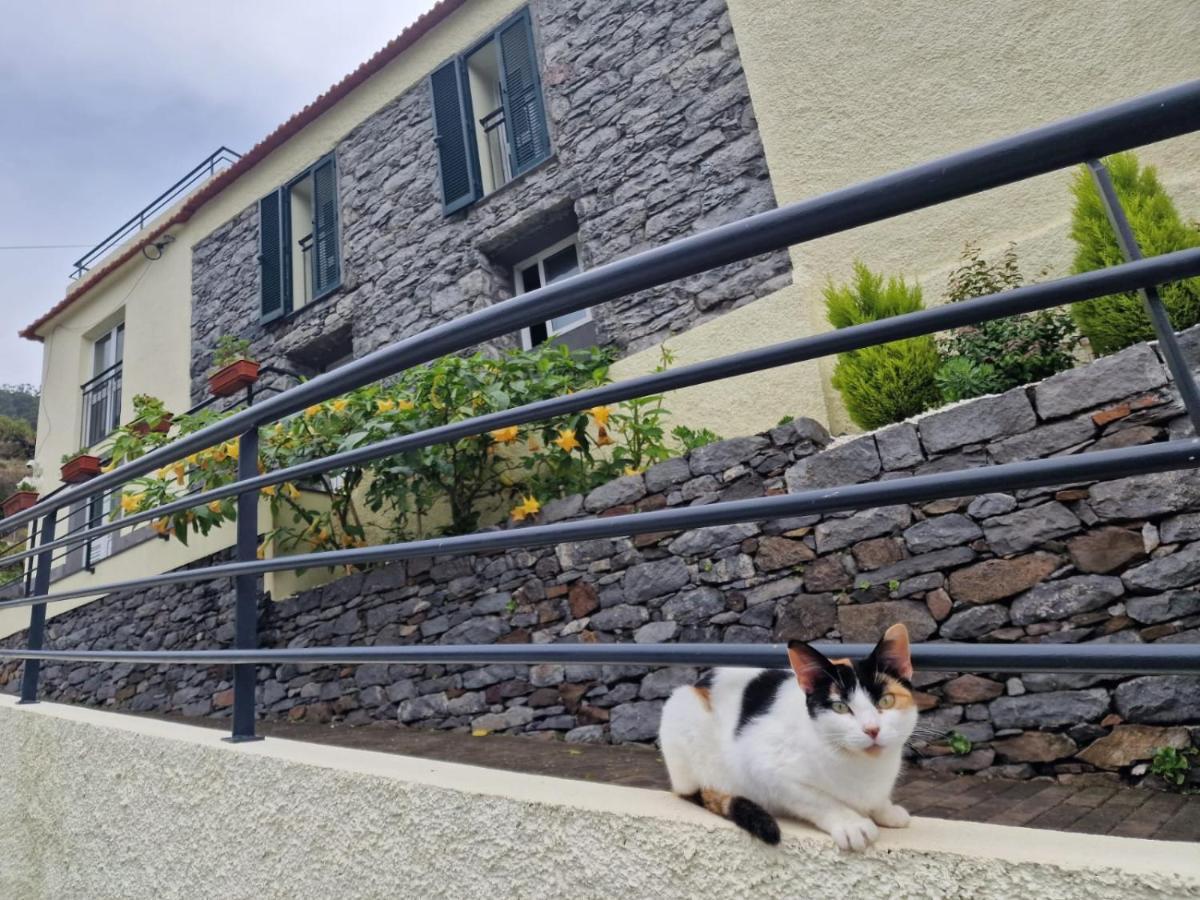 Green Valley House Madeira Ribeira Brava Exterior foto